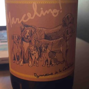Marcelino - Domaine de la cavalière - Domaine de la Cavalière -2023
