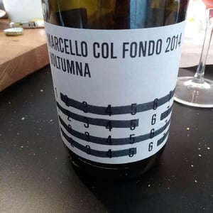 MARCELLO COLFONDO - Voltumna - Marzio Politi 