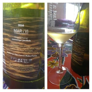 Mar i Vi - Vinya del Forner - ruben-parera-renau
