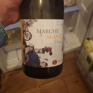 Marche Avant blanc - Mas du Chêne - emmanuelle-delon-luc-vignal