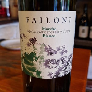 Marche Bianco - Azienda Agricola Failoni Antonio - antonio-failoni -2021