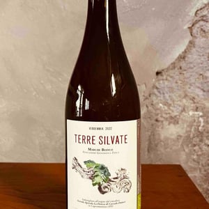 Terre Silvate 2022