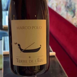 Marco Polo - Terre de L'Elu - Charlotte et Thomas Carsin -2022