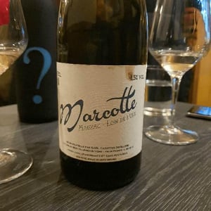 Marcotte (blanc) - Distillerie et Domaine Cazottes - Laurent Cazottes 