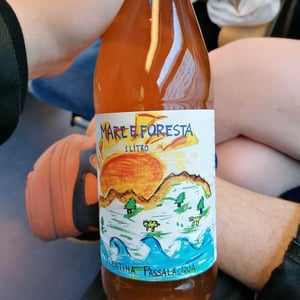Mare E Foresta - Valentina Passalacqua - valentina-passalacqua