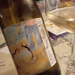 Marée Basse - Domaine Passe Pont - David Landron 