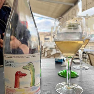 Marée Haute 2020 - Domaine Jeandaugé - Sébastien Fezas -2020