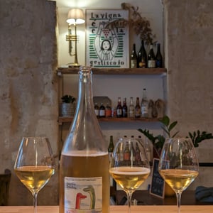 Marée Haute 2020 - Domaine Jeandaugé - Sébastien Fezas -2020