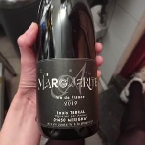 Marguerite - Domaine Louis Terral - Louis Terral 
