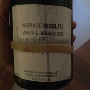 Mariage Insolite - Optimbulles - maxim-geunis-family