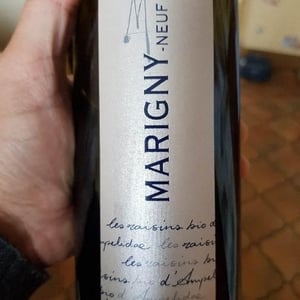 Marigny Neuf Pinot Noir - Domaine Ampelidae - frederic-brochet