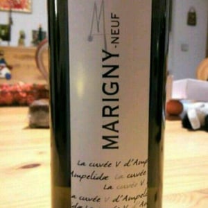 Marigny-Neuf Sauvignon - Domaine Ampelidae - frederic-brochet