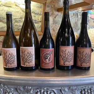 Marinu - Clos Marinu - Johann Thouvenot 