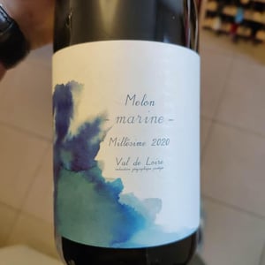 Marine - 1006 Vins de Loire - Pauline Lair 