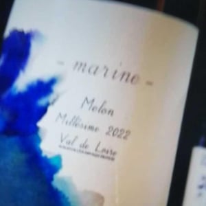 Marine - 1006 Vins de Loire - Pauline Lair 