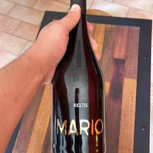 Mario Extreme - Keltis - Miha Kelhar -2014