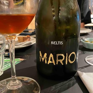 Mario Extreme - Keltis - Miha Kelhar -2014