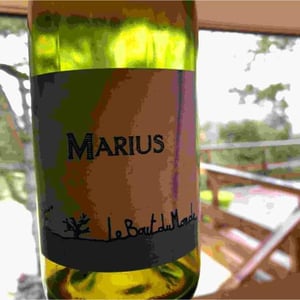Marius - Domaine Le Bout du Monde - edouard-laffitte