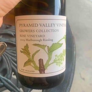 Growers Collection Rose - Pyramid Valley - Mike & Claudia Weersing 
