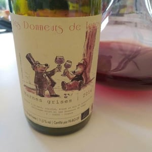 Marnes Grises - Les Donneurs de Temps - Guillaume Gilet 