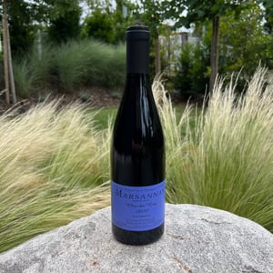 Marsannay "Clos Du Roy" - Sylvain Pataille - sylvain-pataille
