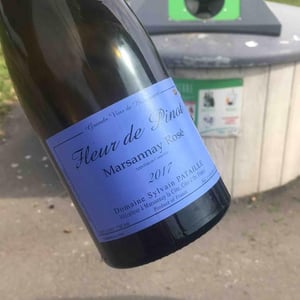 Marsannay "Fleur de Pinot" Rosé - Sylvain Pataille - Sylvain Pataille 