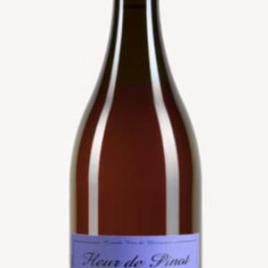 Marsannay "Fleur de Pinot" Rosé - Sylvain Pataille - sylvain-pataille