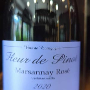 Marsannay "Fleur de Pinot" Rosé - Sylvain Pataille - Sylvain Pataille 