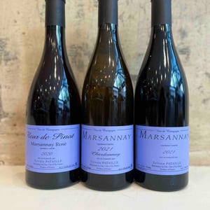Marsannay "Fleur de Pinot" Rosé - Sylvain Pataille - sylvain-pataille