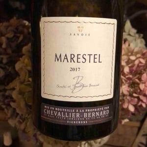 Marestel - Chevallier-Bernard - chantal-et-jean-pierre-bernard