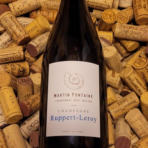 Martin Fontaine - Champagne Ruppert-Leroy - emmanuel-ruppert-benedicte-leroy