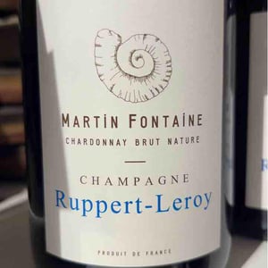 Martin Fontaine - Champagne Ruppert-Leroy - emmanuel-ruppert-benedicte-leroy