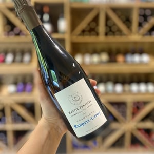 Martin Fontaine - Champagne Ruppert-Leroy - emmanuel-ruppert-benedicte-leroy