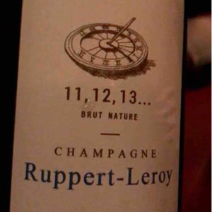 Martin Fontaine - Champagne Ruppert-Leroy - emmanuel-ruppert-benedicte-leroy
