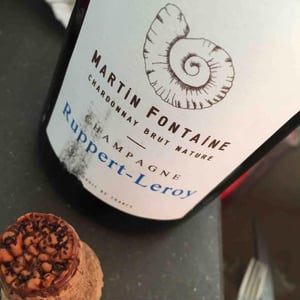 Martin Fontaine - Champagne Ruppert-Leroy - emmanuel-ruppert-benedicte-leroy