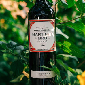Martinet Bru - Family Wine - Familia Perez Ovejero -2009