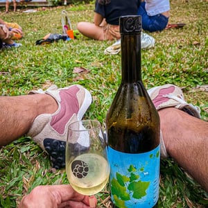 Martissima Collio Bianco - Italy - dalle-nostre-mani -2020