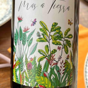 Mas a Tierra - Domaine de la Petite Empreinte - Mélissa Bazin & Romain De Moor -2022