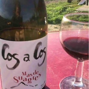Mas de Suagres Red - Celler Cos A Cos - Cristobal Vanyo Beneyto 