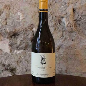 Mas del Gaio - Celler Escoda Sanahuja - joan-ramon-escoda-martinez