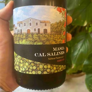 Masia Cal Salines - Cal Teixidor - Josep Casañas 