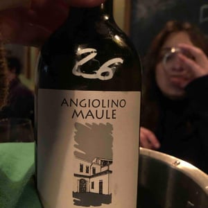 Azienda Agricola La Biancara - Angiolino Maule - Masieri