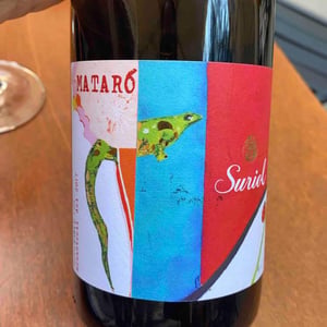 Mataró - Cellers de Can Suriol del Castell - Azimut - Assis Suriol 