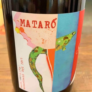 Mataró - Cellers de Can Suriol del Castell - Azimut - assis-suriol