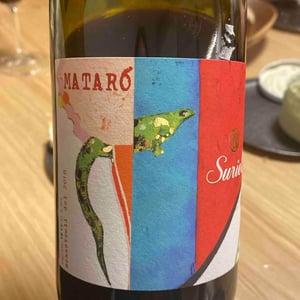 Mataró - Cellers de Can Suriol del Castell - Azimut - Assis Suriol 
