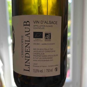 Lindenlaub - Christophe Lindenlaub - Matin Fou