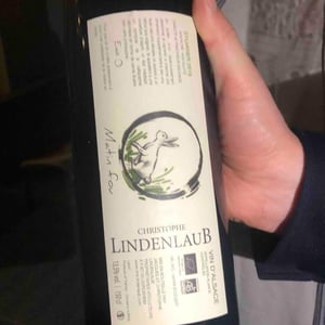 Lindenlaub - Christophe Lindenlaub - Matin Fou