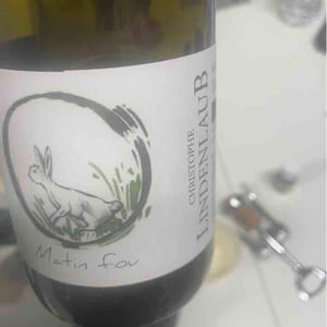 Lindenlaub - Christophe Lindenlaub - Matin Fou