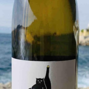 Domaine Montaillant - Alexis Hudon & Jérôme Loubert - Matousé