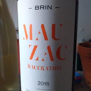 Mauzac - Domaine de Brin - Damien Bonnet 